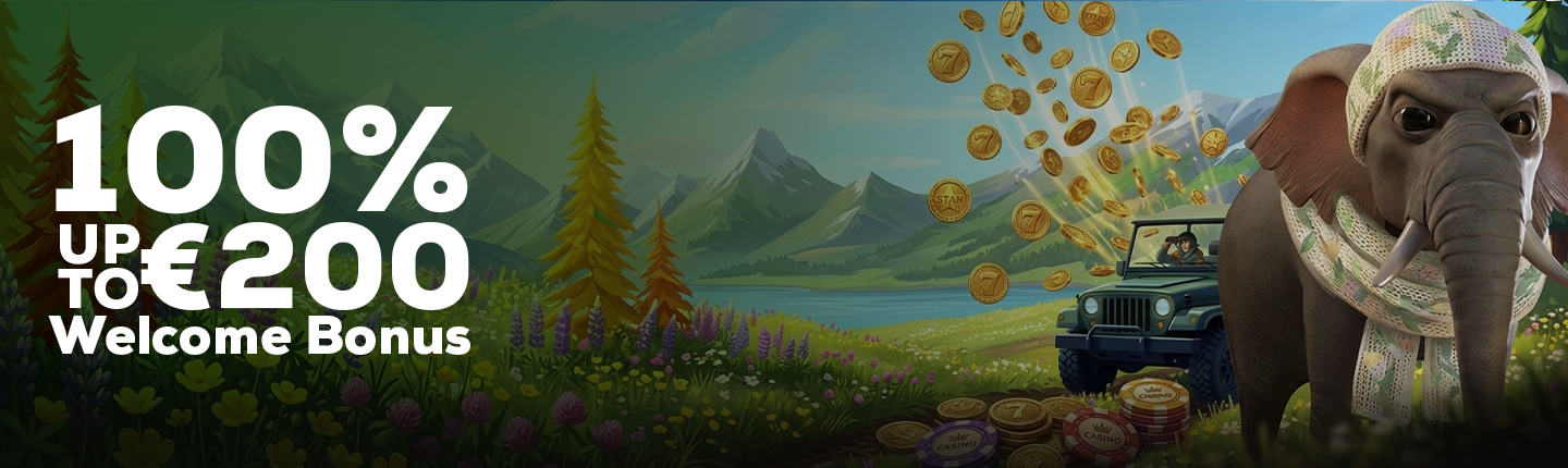 https://bigcasinoit.org/