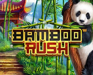 Icon of Bamboo Rush