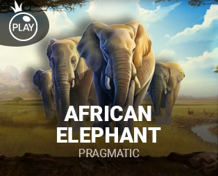 Icon of African Elephant