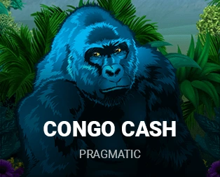 Icon of Congo Cash