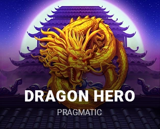 Icon of Dragon Hero