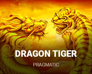 Icon of Dragon Tiger