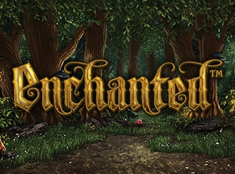Icon of Enchanted