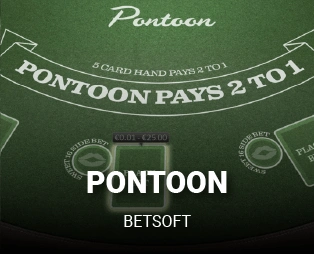 Icon of Pontoon
