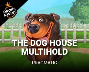 Icon of The Dog House Multihold