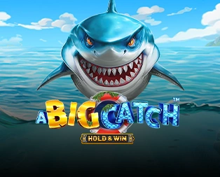 Icon of A Big Catch: Hold & Win