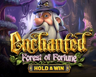 Icon of Enchanted: Forest of Fortune