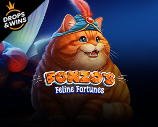 Icon of Fonzo’s Feline Fortunes