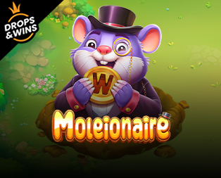 Icon of Moleionaire