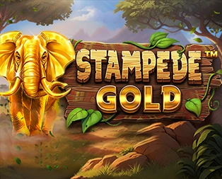 Icon of Stampede Gold
