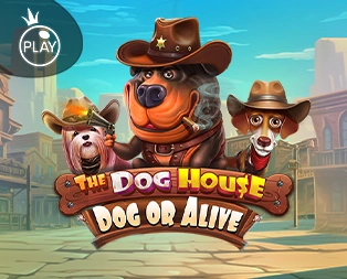 Icon of The Dog House – Dog or Alive