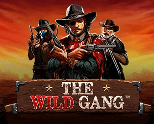 Icon of The Wild Gang