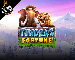Icon of Tundra's Fortune