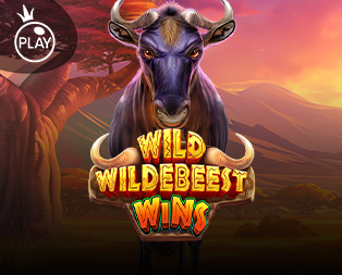 Icon of Wild Wildebeest Wins