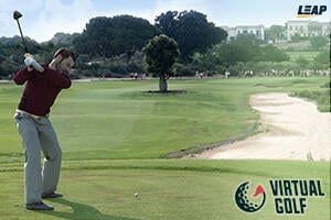 Icon of Virtual Golf