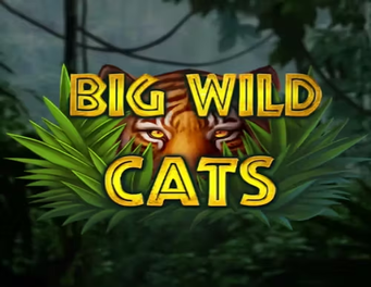 Icon of Big Wild Cats