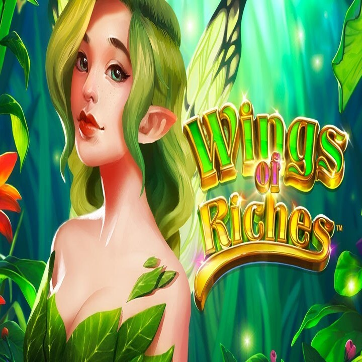 Icon of Wings of Riches