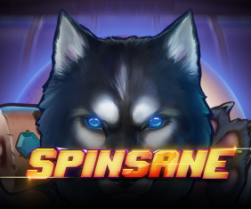 Icon of Spinsane
