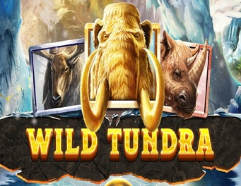 Icon of Wild Tundra