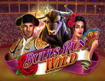 Icon of Bulls Run Wild