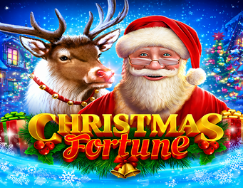 Icon of Christmas Fortune
