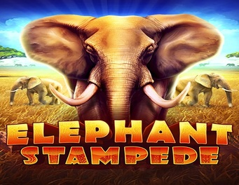 Icon of Elephant Stampede