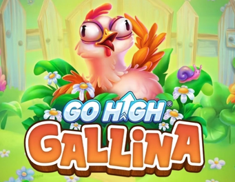 Icon of Go High Gallina