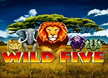 Icon of Wild Five