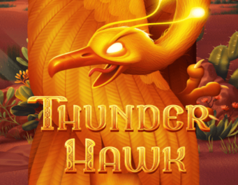Icon of Thunderhawk