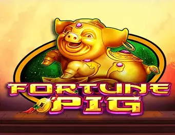 Icon of FORTUNE PIG