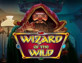 Icon of Wizard of the Wild