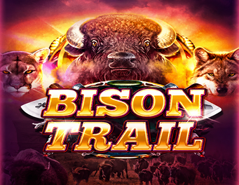 Icon of Bison Trail