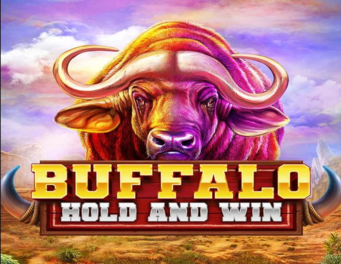 Icon of Buffalo Hold and Win