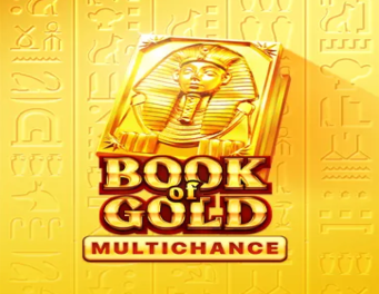 Icon of Book of Gold: Multichance