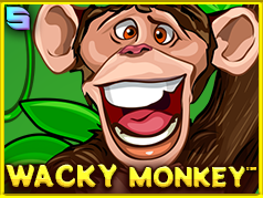 Icon of Wacky Monkey