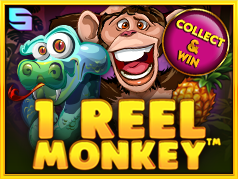 Icon of 1 Reel Monkey
