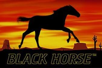 Icon of Black Horse