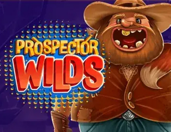 Icon of Prospector Wilds