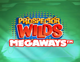 Icon of Prospector Wilds Megaways
