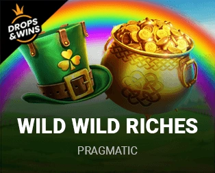 Icon of Wild Wild Riches