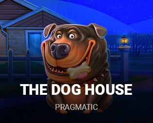 Icon of The Dog House Megaways