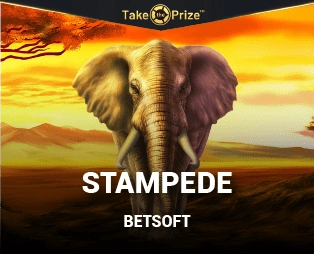 Icon of Stampede