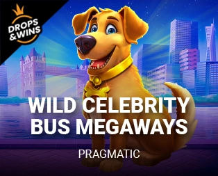 Icon of Wild Celebrity Bus Megaways