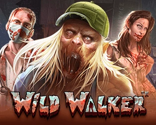 Icon of Wild Walker